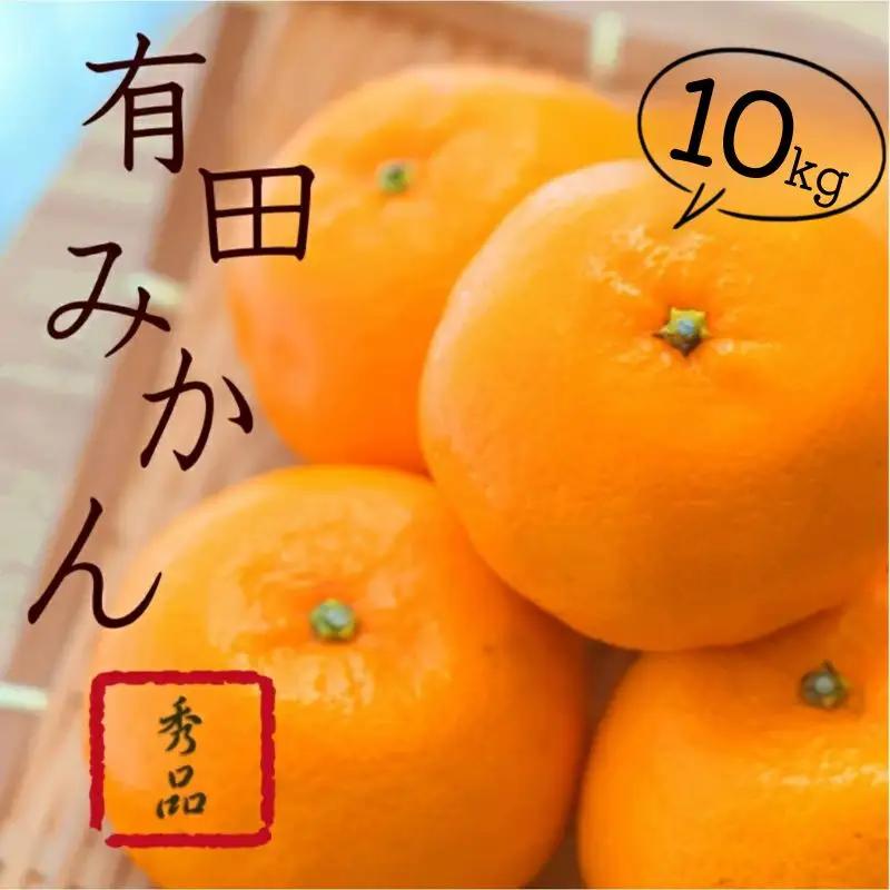 紀州有田みかん 秀品 約10kg(L・M・S・2Sサイズおまかせ)/ 和歌山 みかん 果物 柑橘【sml109B】