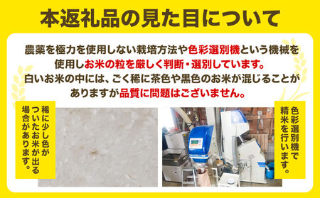 [0.8-201] 【令和7年産】精米ゆきひかり3kg《10月末～（新米収穫出来次第、出荷）》