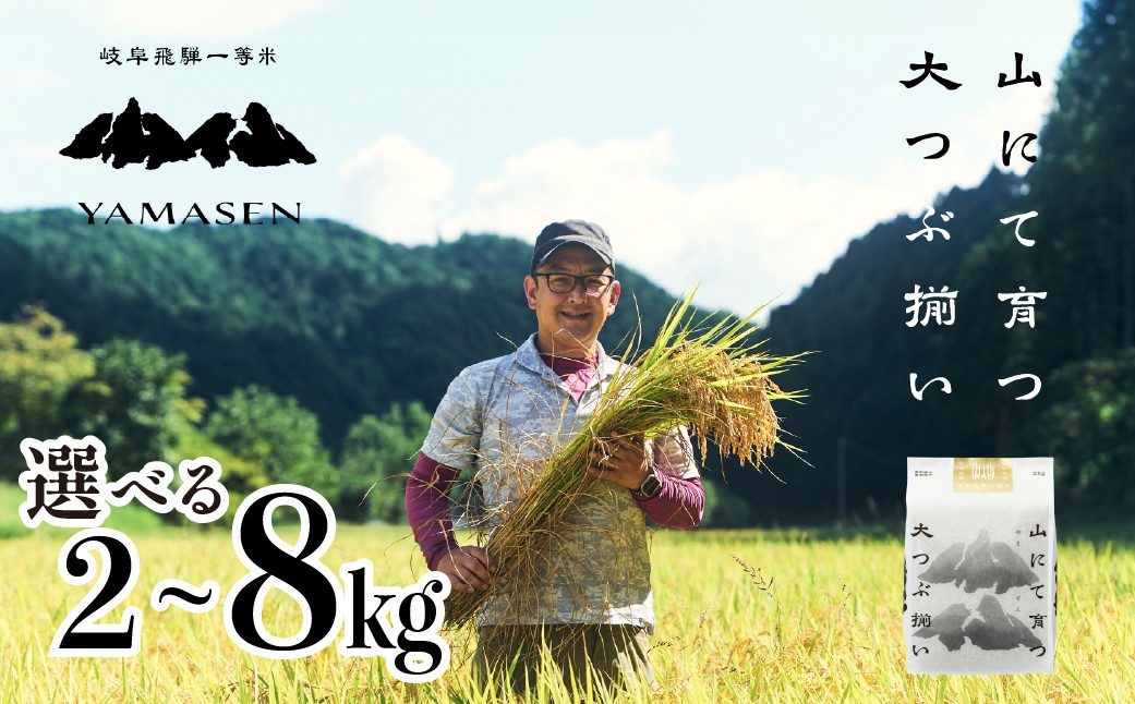 
                  【選べる内容量】新米先行予約【2026年産米】2kg～8kg（2026年10月中旬頃から順次発送）すがたらいす 山仙 (いのちの壱) 下呂市金山産 2キロ  4キロ 6キロ 8キロ 米 令和8年産 お米 精米 米 いのちのいち やません
                