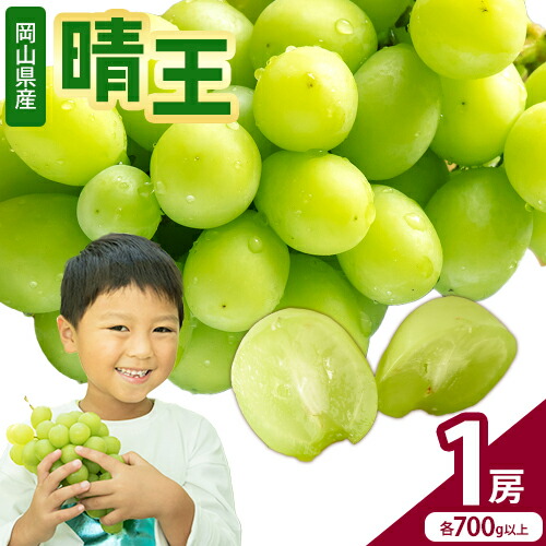 【2026年先行予約】 シャインマスカット【晴王】 岡山県産 1房(700g以上)株式会社Myself《2026年9月上旬-10月下旬頃出荷》マスカット 送料無料 岡山県 浅口市 ぶどう フルーツ 果物 贈り物 ギフト