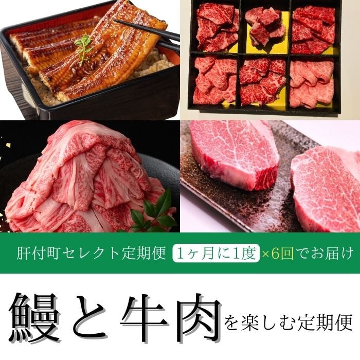 【F90002】 ＜定期便・全6回＞肝付町セレクト定期便《鰻と牛肉を楽しむ定期便》