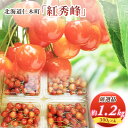 【ふるさと納税】[先行受付] 北海道 仁木町産 サクランボ 紅秀峰 1.2kg 厳選品 松山商店　 果物 フルーツ チェリー 旬の果物 産地直送 北海道産 仁木町産 たっぷり 　お届け：2025年7月13日～26日