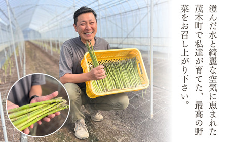 アスパラガス 朝採れ！新鮮！グリーンアスパラ 1kg | アスパラガス アスパラガス アスパラガス アスパラガス アスパラガス