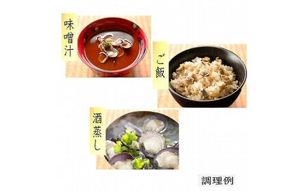 宍道湖産冷凍しじみ【1-028】