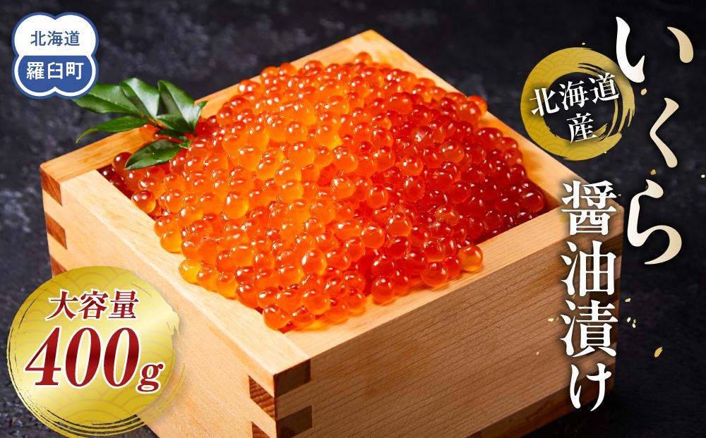 北海道産 いくら（鮭卵）醤油漬け400g(200g×2パック) 個魚介類 北海道 海産物 魚介 小分けパック 生産者 支援 応援 016942_AP008