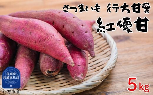 さつまいも　行方甘藷　紅優甘　5kg（茨城県共通返礼品・行方市産） ／ さつまいも さつま芋 サツマイモ 薩摩芋 甘薯 行方甘藷 紅優甘 5kg 野菜 茨城県 送料無料