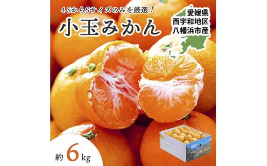 小さいみかんを厳選!愛媛みかん 小玉6kg＜訳あり＞＜C25-48＞_みかん 柑橘 果物 くだもの フルーツ 訳あり 愛媛 人気 おすすめ 送料無料 小玉 傷 規格外 温州みかん【1248066】 YWTAP031