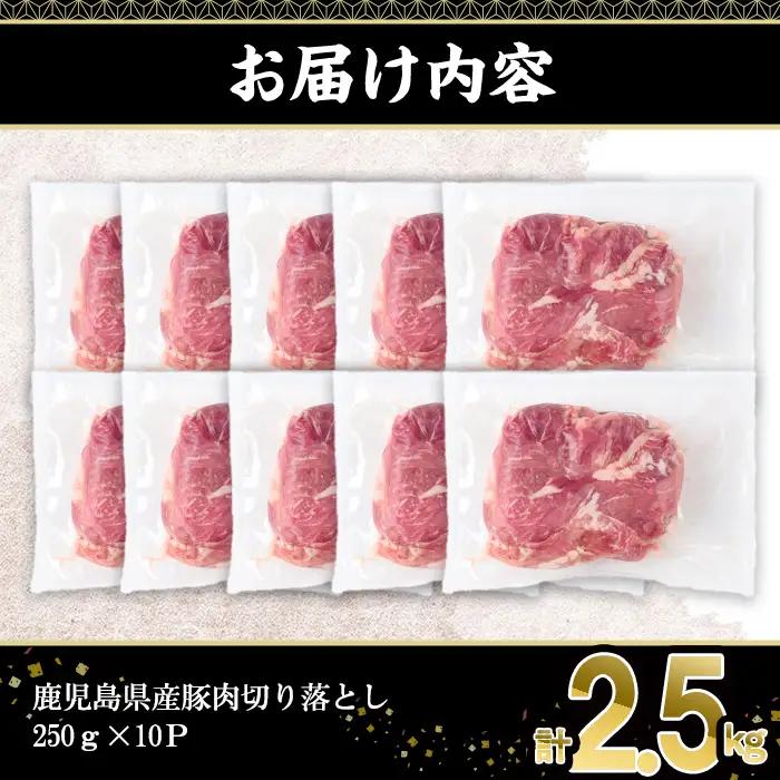 鹿児島県産 豚肉 切り落とし (計2.5kg・250g×10P)【株式会社羽根】A1087