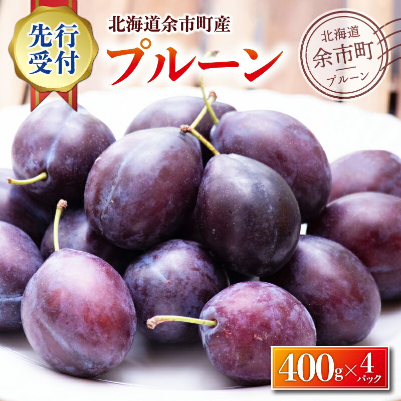 【ふるさと納税】高評価★4.9【 2025年9月上旬以降発送分 先行予約 】 プルーン 400g×4パック 甘くてジューシー 余市産 生プルーン 国産 冷蔵 小分け パック フルーツ 余市 ジャム コンポート 先行販売 果物 季節限定 お取り寄せ 北海道 余市町 送料無料