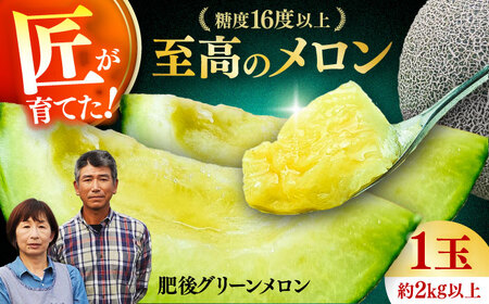 【先行予約】 【数量限定】 山鹿の恵み! 匠の育てた　肥後グリーン メロン 約2㎏以上（約2kg以上×1玉）【きもと農園】[ZFQ002]