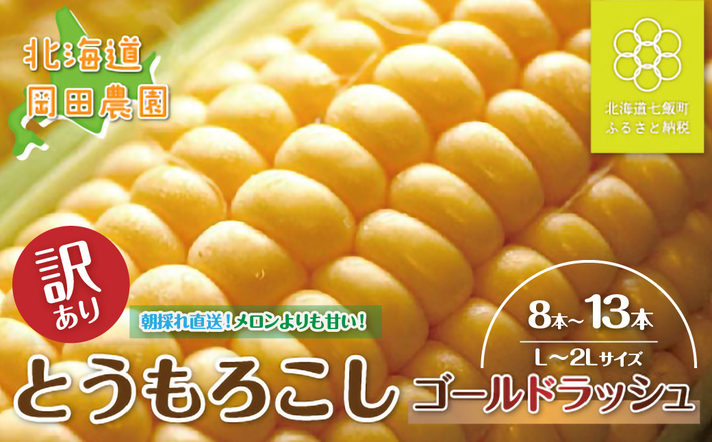【先行予約】 訳あり 北海道七飯町産とうもろこし「朝採れゴールドラッシュ8～13本」（L～2L） NAZ028