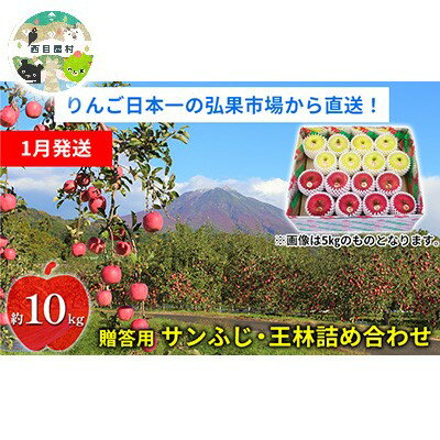 【ふるさと納税】【1月発送】贈答用 サンふじ・王林詰め合わせ 約10kg【青森りんご】　お届け：2026年1月6日～2026年1月30日