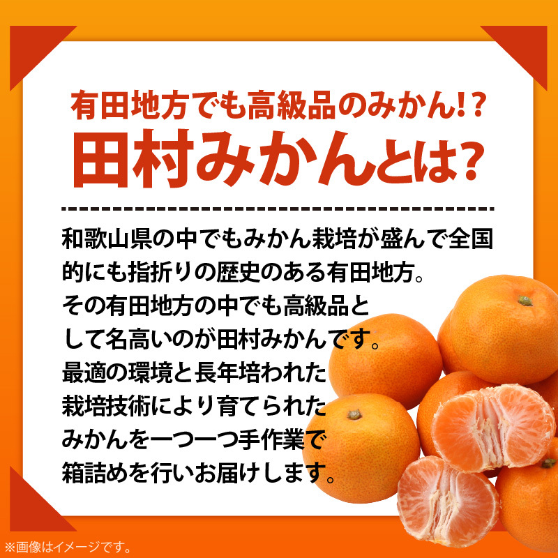 AB7309_ プレミアムブランド 田村みかん Sサイズ 秀品  約5kg _ 和歌山県産 小玉 小さい 蜜柑 ミカン フルーツ 果物 ギフト お歳暮 完熟_イメージ4