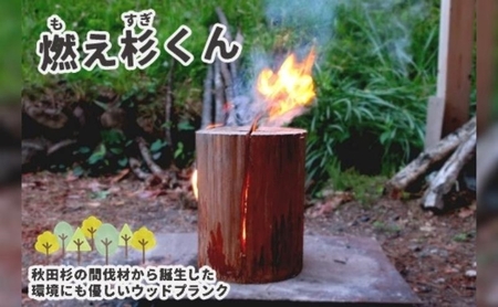 スウェーデントーチ 秋田杉 燃え杉くん キャンプ スウェーデントーチ