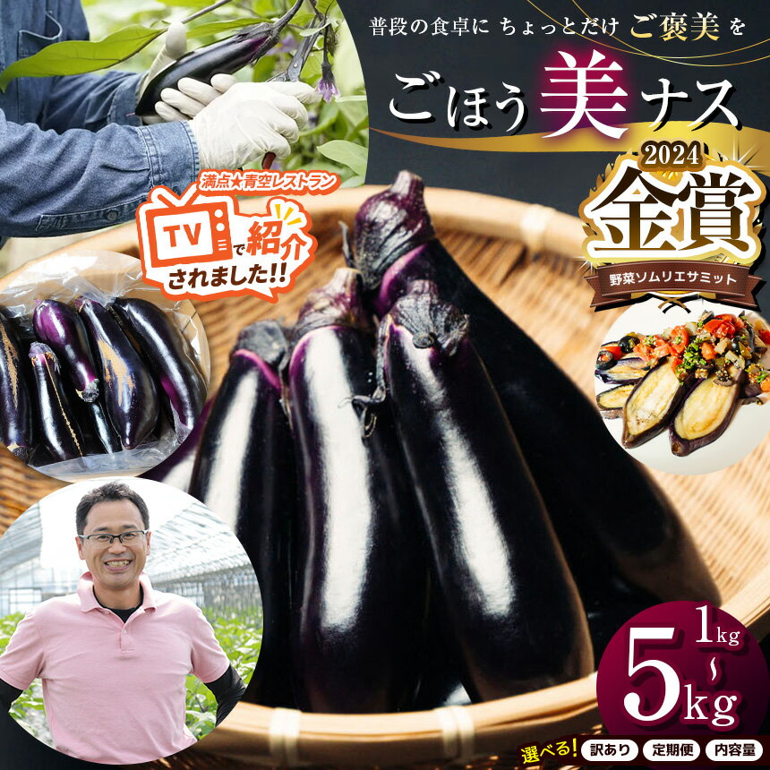 【ふるさと納税】野菜ソムリエサミット金賞「ごほう美ナス」 選べる 内容量 定期便 約1~5kg ｜ 野菜 ナス 茄子 夏秋ナス 長ナス 特産品 なす なすび 野菜 定期便 単品 金賞 受賞 訳あり 訳アリ 選べる ご褒美 栃木県 真岡市 送料無料