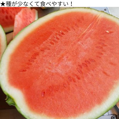 103002 山中農園のスイカ ２玉【先行受付】 種が少ない 選べる １玉 ２玉 フルーツ 産地直送 完熟 糖度 リピーター率高い 甘い 大玉 西瓜 すいか/高知県 奈半利町