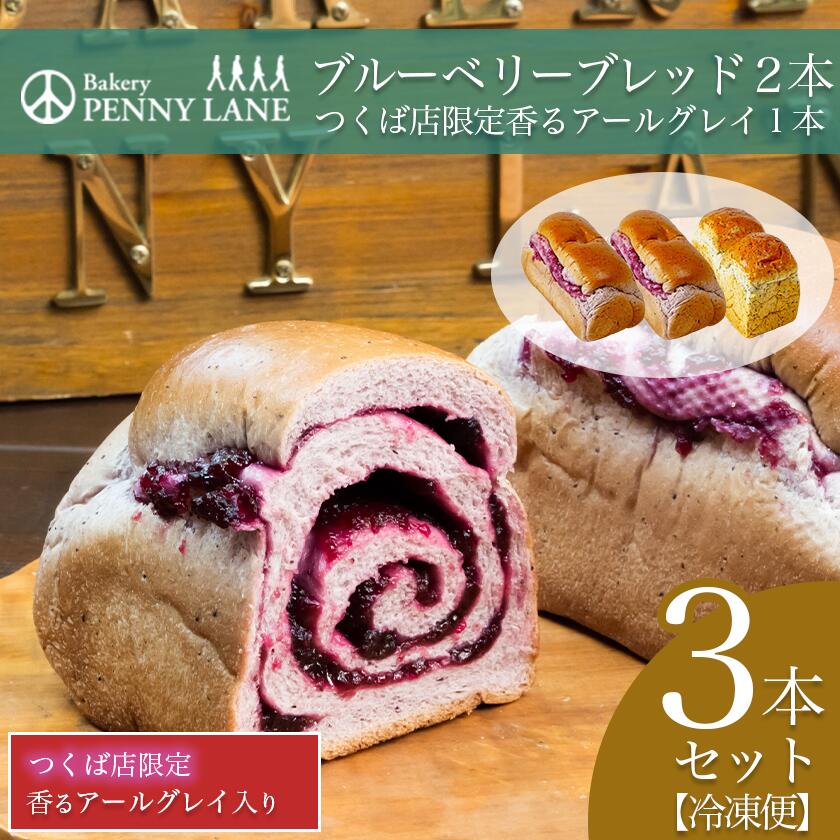 【ふるさと納税】ペニーレインのブルーベリーブレッド2 本＋ つくば店限定 香るアールグレイ1本セット | 茨城県 つくば市 パン パン屋 茨城県 つくば市 ブルーベリー 冷凍パン お取り寄せ 人気 おすすめ ベーカリー グルメ プレゼント レストラン ドッグラン 冷凍 冷凍便