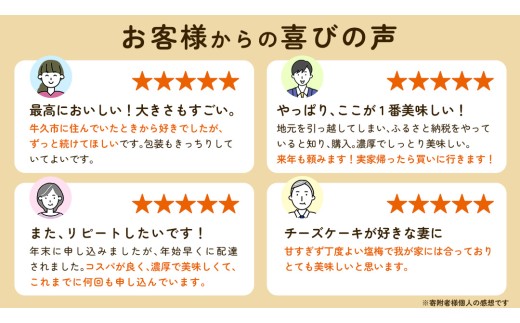 濃厚 ！ ベイクドチーズケーキ 5号（ 冷凍 ） ホールケーキ チーズケーキ 冷凍ケーキ クリームチーズ 濃厚 甘い おいしい 美味しい スイーツ おうちカフェ お菓子 おやつ お取り寄せ お土産 贈り物 お祝い 誕生日 プレゼント ギフト パーティー 国産 茨城 冷凍 冷蔵