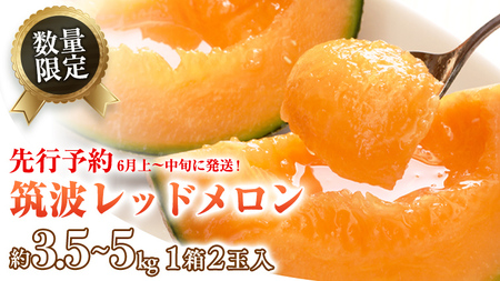 メロン 筑波レッドメロン 1箱 2玉 メロン メロン メロン メロン メロン メロン メロン