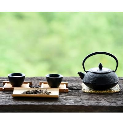 ふるさと納税 広川町 八女茶【上】煎茶セット　100g×2袋(広川町) |  | 02