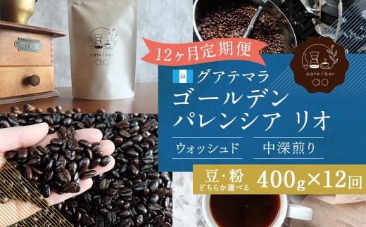 【粉】 【12か月定期便】 グアテマラ ゴールデンパレンシア リオ ウォッシュド （中深煎り） 400g コーヒー 珈琲 粉 こな