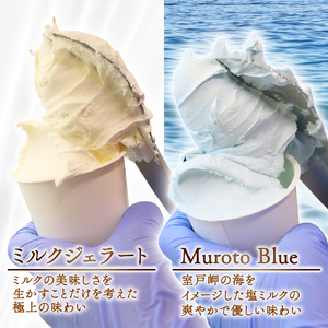 【大好評】素材の味を楽しむ ジェラートセット ミルク 塩バニラ 10個 アイス アイスクリーム 詰め合わせ 家庭用 人気 [rk045]