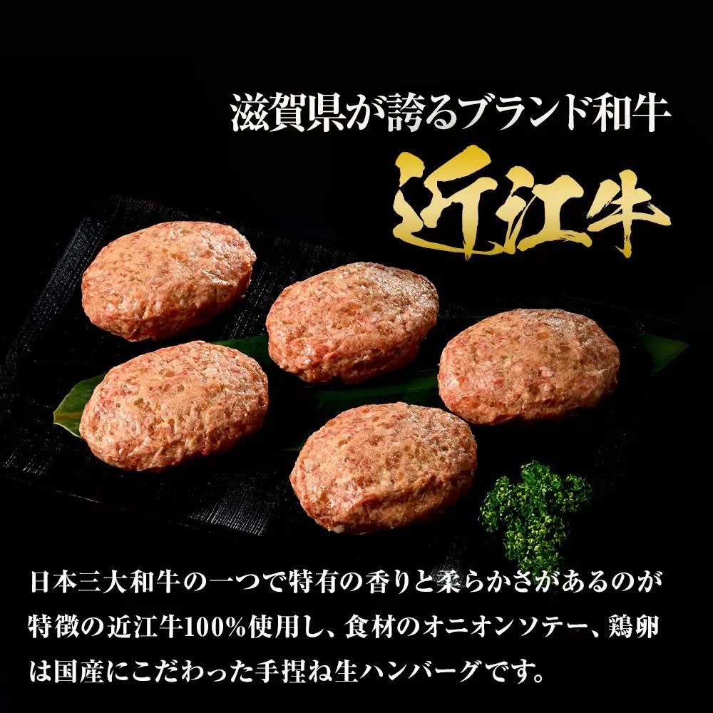近江牛 生ハンバーグ 120g×5個入