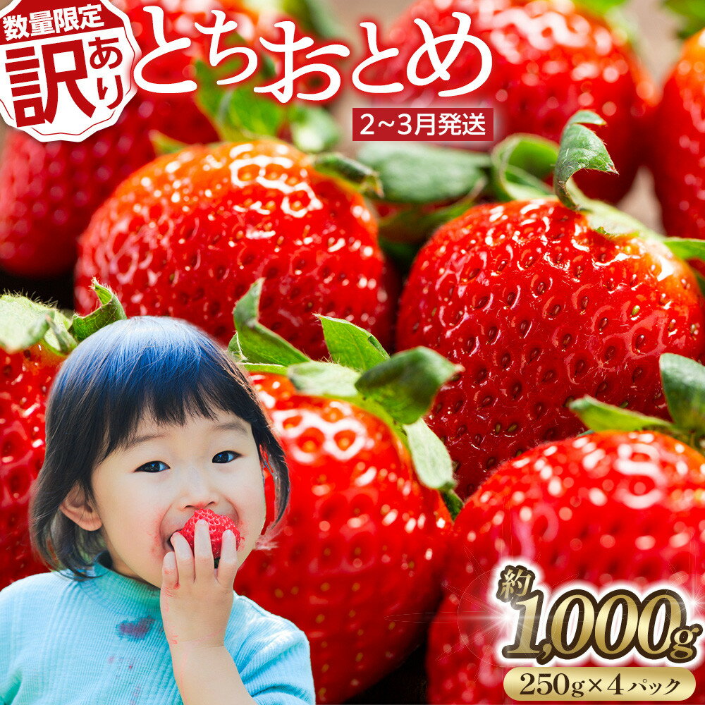【ふるさと納税】【訳あり・数量限定】とちおとめ　いちご　約1kg（約250g×4パック）＜2～3月発送＞ | 大府市 いちご とちおとめ 果物 フルーツ 苺 土壌栽培 人気 おすすめ 送料無料