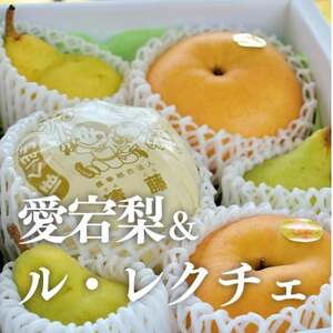 【きよとうファーム】あたご梨＆ル・レクチェ 上級品/5-7玉入(岡山県産)【1606507】
