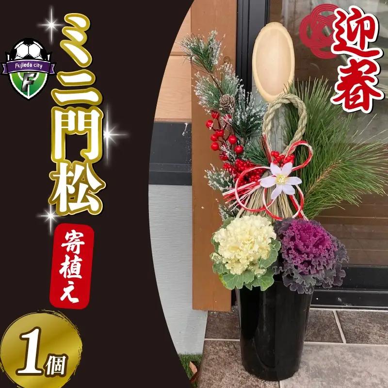 【 先行予約 ：2026年12月発送開始 】 花  門松 ミニ 寄植え 6号 正月飾り 葉牡丹 門松 門松 正月