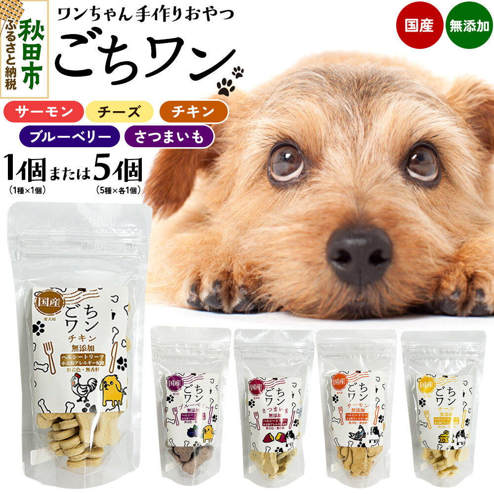 【ふるさと納税】わんちゃん手づくりおやつ「ごちワン」国産ヘルシートリーツ【選べる：サーモン／チーズ／ブルーベリー／チキン／さつまいも／5種セット】国産 ドッグフード 無着色・無香料 [トリーツ 犬 犬のおやつ 国産 ペット用 ペットフード]