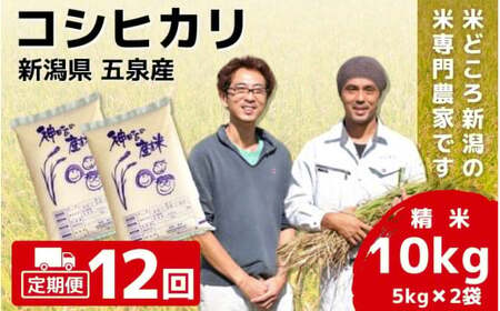 【令和6年産新米】〈12回定期便〉「わくわく農場」の五泉産 精米 コシヒカリ 10kg(5kg×2袋)［2024年10月中旬以降順次発送］ わくわく農場