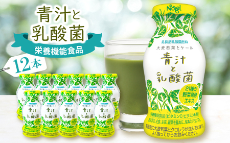 青汁と乳酸菌　12本セット【配送不可地域：離島】【1664199】