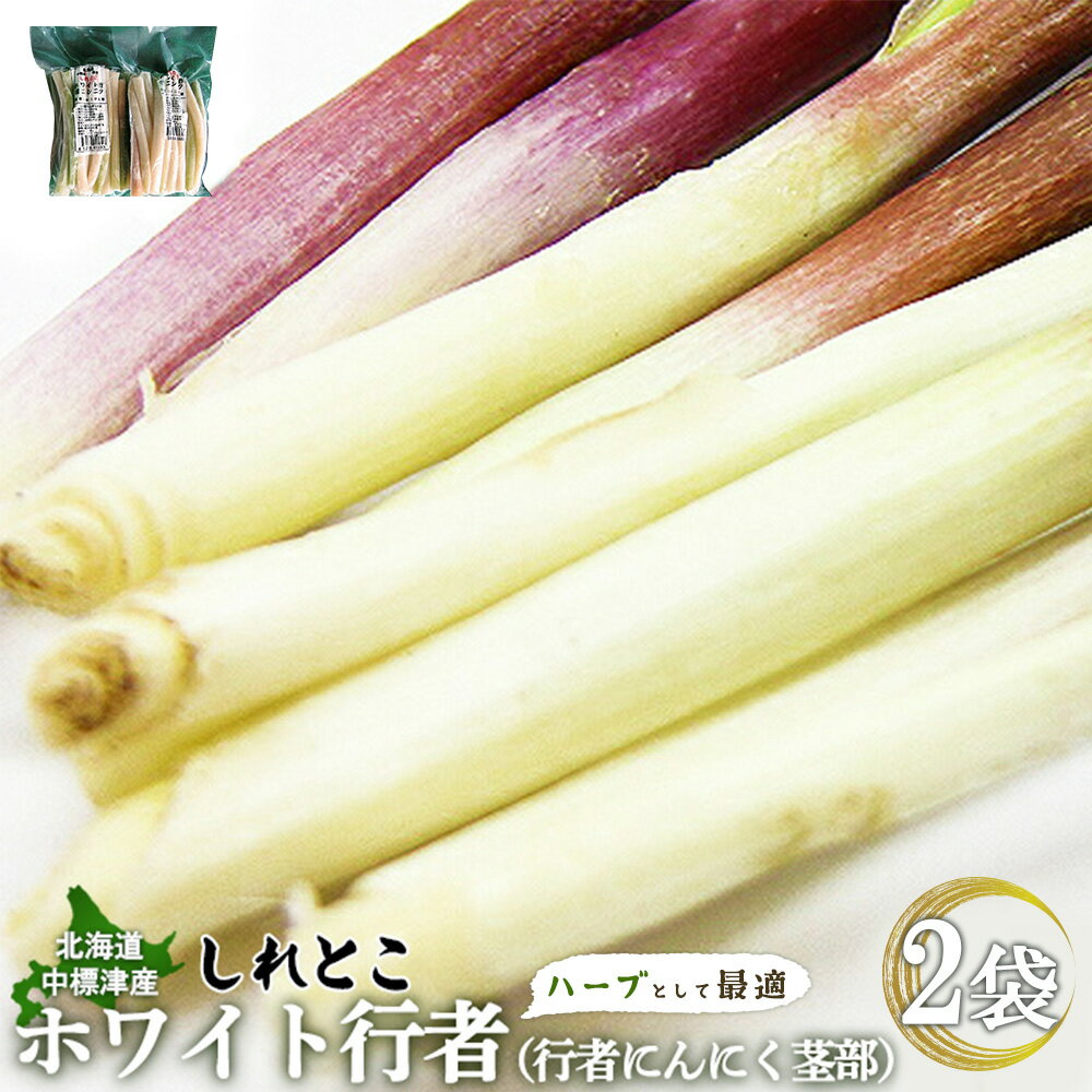 【ふるさと納税】【ハーブとして最適】行者にんにくホワイト行者×2袋（茎部） | オンライン 申請 ふるさと納税 北海道 中標津 ハーブ 香草 行者ニンニク にんにくの芽 山菜 焼肉 しょうゆ漬け おかず 冷凍 お取り寄せ 北海道 中標津町 中標津【20021】