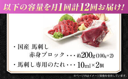 【全12回定期便】『純国産』熊本の味 赤身 馬刺し 約200g ブロック 冷凍 タレ付き【有限会社 九州食肉産業】[AYCN111]