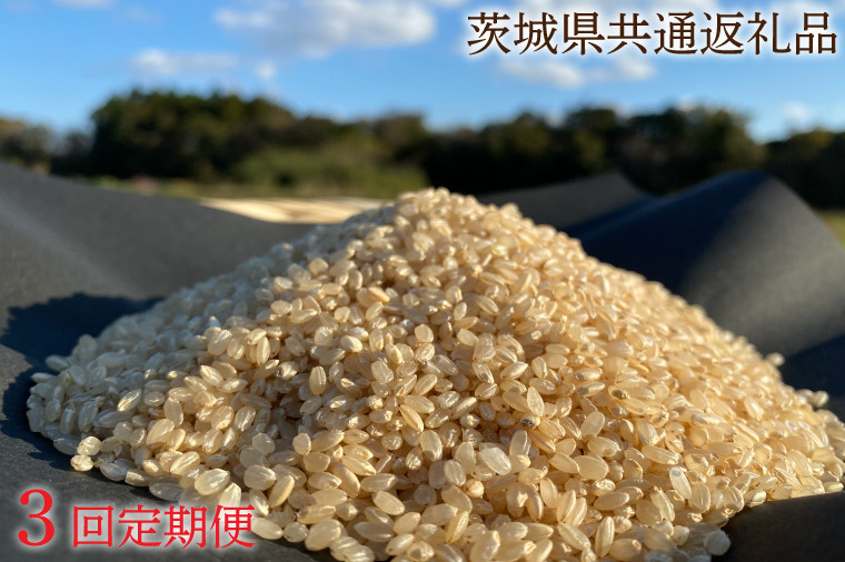 
【3ヶ月定期便】【栽培期間農薬不使用】マキタ超こしひかり 玄米10kg×3回【茨城県共通返礼品・行方市産【おいしい お米 マキタ 減農薬 安心 鹿嶋市】（KBE-47）
