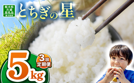 【栃木県共通返礼品】【令和7年度産】栃木県産とちぎの星 15kg |定期便 選べる  ふるさと 納税 とちぎの星 お米 精米 白米 玄米 大粒 共通返礼品 送料無料 那珂川町 栃木県
