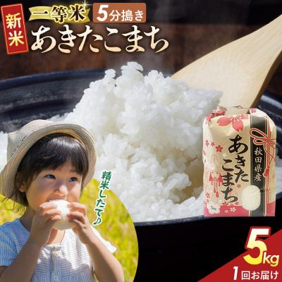 ふるさと納税 大仙市 5分搗き あきたこまち 一等米 5kg 秋田県 R8年|22_kml-050501s