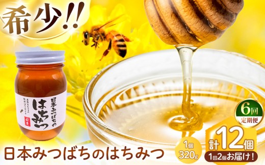 【 定期便 6回 】和水町産 日本蜜蜂のはちみつ｢希少品｣ 320g×2個 | 熊本県 熊本 くまもと 和水町 なごみまち なごみ ハチミツ ハチミツ 蜂蜜 日本蜜蜂 国産 320g×2個 瓶