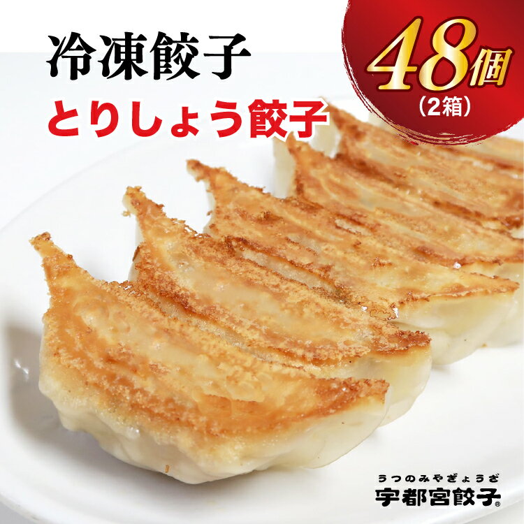 【ふるさと納税】【とりしょう】餃子　24個入り×2箱【ぎょうざ ギョウザ ギョーザ 冷凍食品 冷凍餃子 惣菜 夜ご飯 おかず おつまみ 手軽 時短 お取り寄せ グルメ 送料無料 栃木県 宇都宮市】※北海道・沖縄・離島への配送不可
