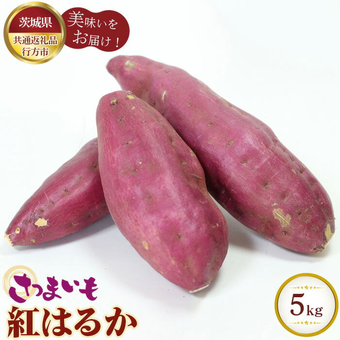 【ふるさと納税】No.328 さつまいも　紅はるか　約5kg【茨城県共通返礼品 行方市】 ／ 旬 新鮮 さつま芋 サツマイモ 野菜 送料無料 茨城県