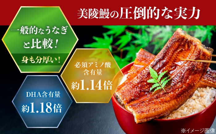 鰻 うなぎ ウナギ 蒲焼き かば焼き 国産 無投薬 ギフト 冷凍 土用の丑の日