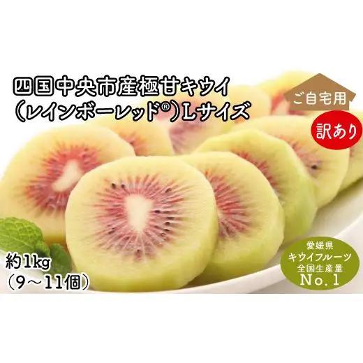 ＜10月下旬以降発送＞【ぽぽ農園】【訳あり・ご自宅用】レインボーレッドキウイ（四国中央市産レインボーレッド） Lサイズ 約1kg（9個～11個）
