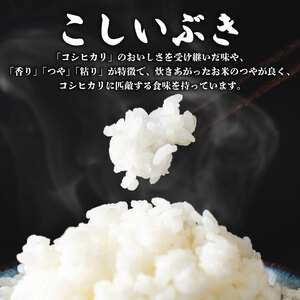 【定期便】 令和7年産 新潟県産 こしいぶき 5㎏×6か月 【 新潟県 新潟産 新潟米 新発田産 新発田 お米 米 こしいぶき とんとん市場 せいだ 5kg 30kg 6か月 半年 定期便 数量限定 