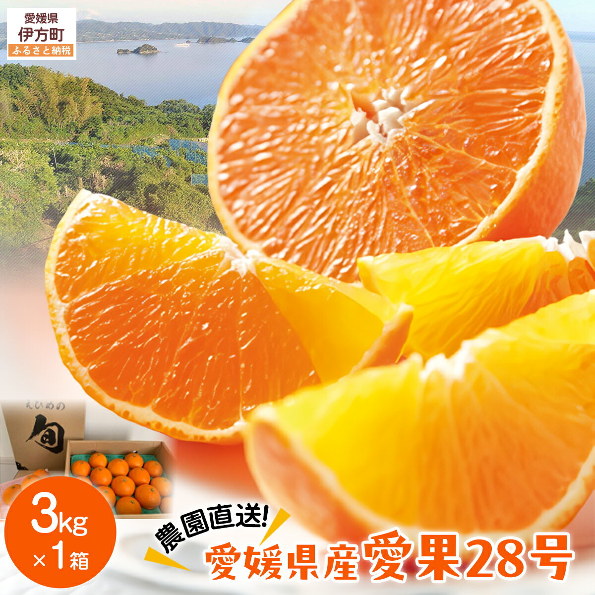 【ふるさと納税】【先行予約】【数量限定】＼農園直送／愛媛県産 愛果28号 3kg×1箱（2025年12月中旬より順次発送） 【ふるさと納税 人気 おすすめ ランキング 柑橘 みかん ミカン 蜜柑 愛果28号 紅 まどんな と同品種 果物 フルーツ 岡市農園 愛媛県産 愛媛県 】 IKTV003
