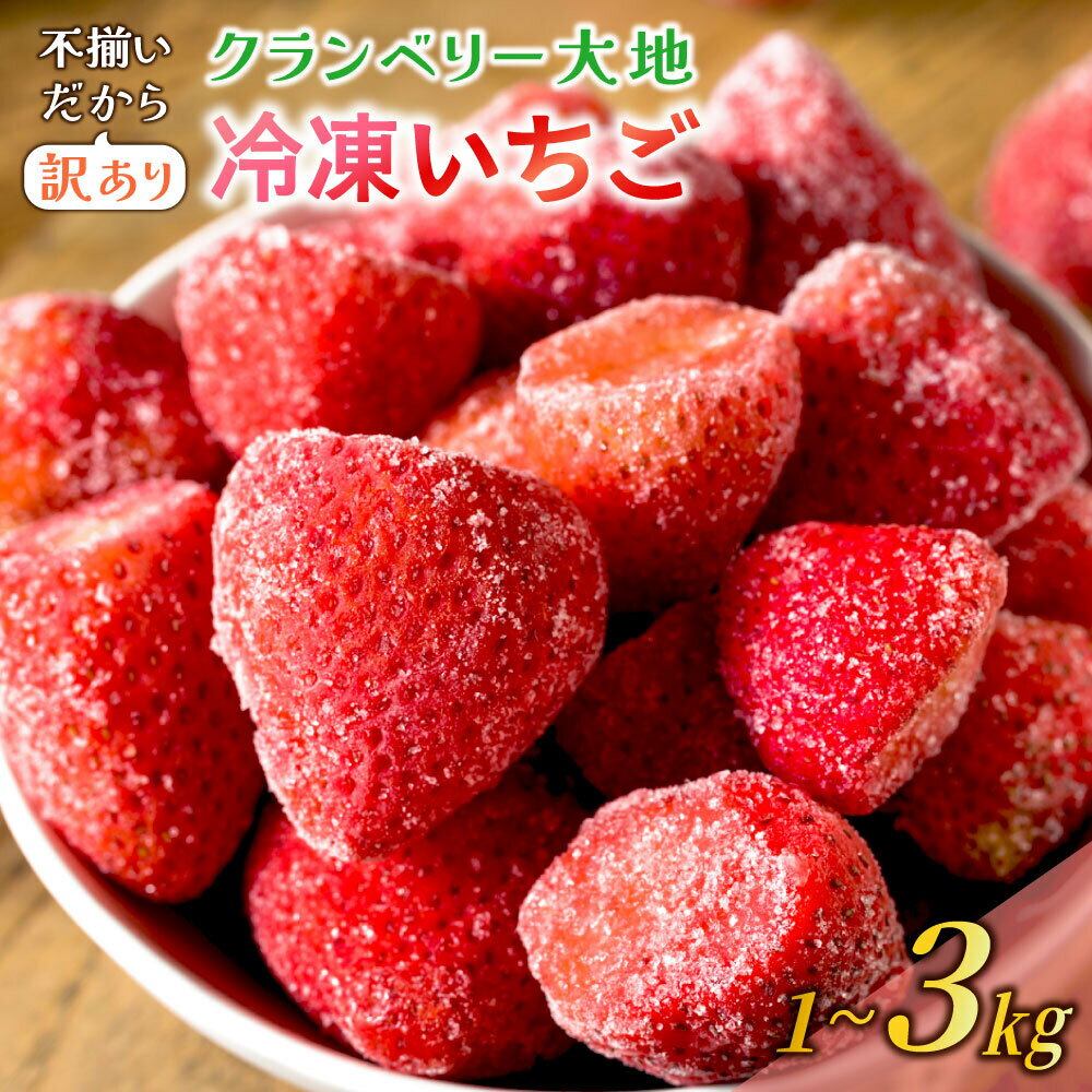 【ふるさと納税】【訳あり】冷凍いちご 1kg～3kg いちごイチゴ 苺 冷凍 シェイク スムージー 冷たい グランベリー大地 茨城県 常総市