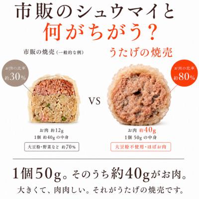 ふるさと納税 静岡市 【ふるさと納税限定小分けパック】ご褒美点心 もち米焼売「真珠焼売」 200g(4個入り)×4袋 |  | 01