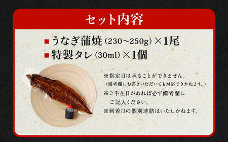 国産 うなぎ 蒲焼 1尾 （230g ～ 250g） と 特製タレ 1個 セット 鰻 ウナギ 蒲焼き うなぎ蒲焼 セイロ蒸し せいろ蒸し タレ付 冷凍 父の日