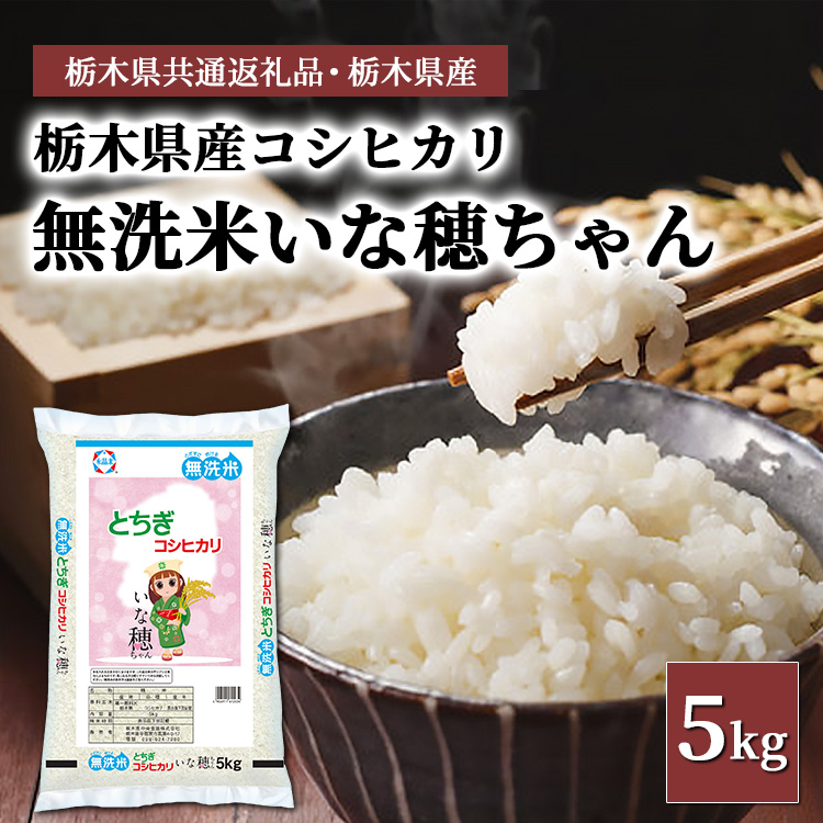 【無洗米】栃木県産コシヒカリ いな穂ちゃん 5kg【栃木県共通返礼品・栃木県産】◆
