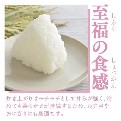 ふるさと納税 大子町 【栽培期間中の農薬不使用栽培】立神米こしひかり 白米 計10kg|茨城県 大子町 谷田部農産 |  | 02